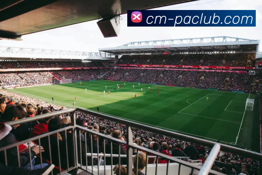 PA官方入口全站App