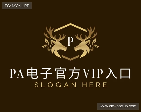 认识PA电子官方VIP入口